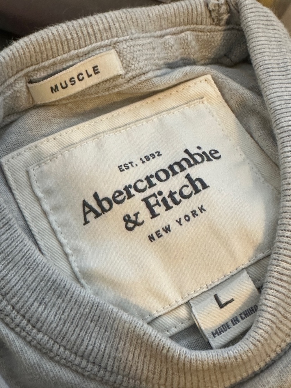 Abercrombie & Fitch Mens Light Gray Crewneck Shirt Large Preowned